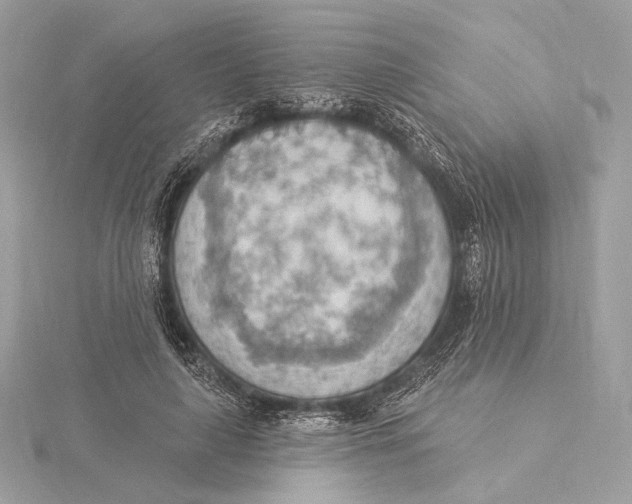 X0000115850643200912041730