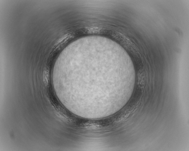 X0000115850648200912041730