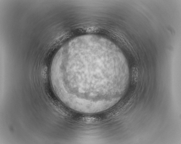 X0000115850650200912041730