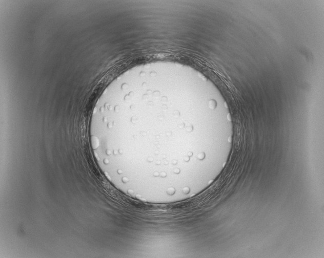 X0000115850657200912041730