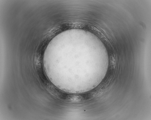 X0000115850663200912041730