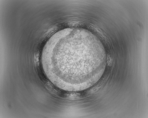 X0000115850670200912041730
