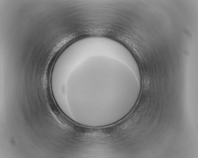 X0000115850674200912041729