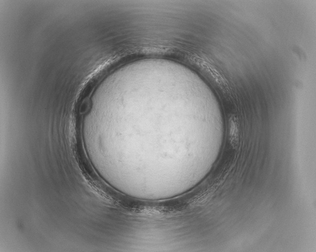 X0000115850684200912041729