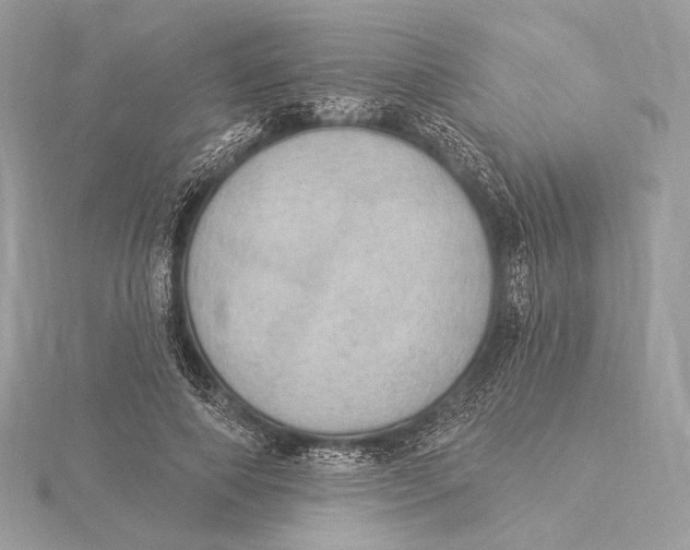 X0000115850690200912041729