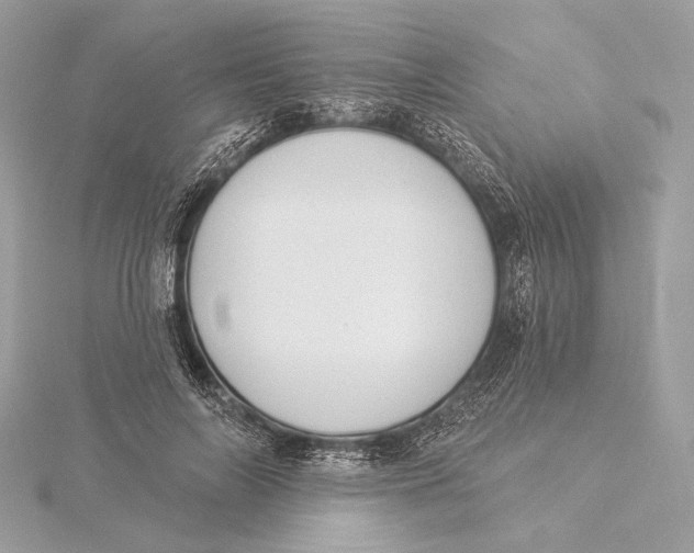 X0000115850694200912041729