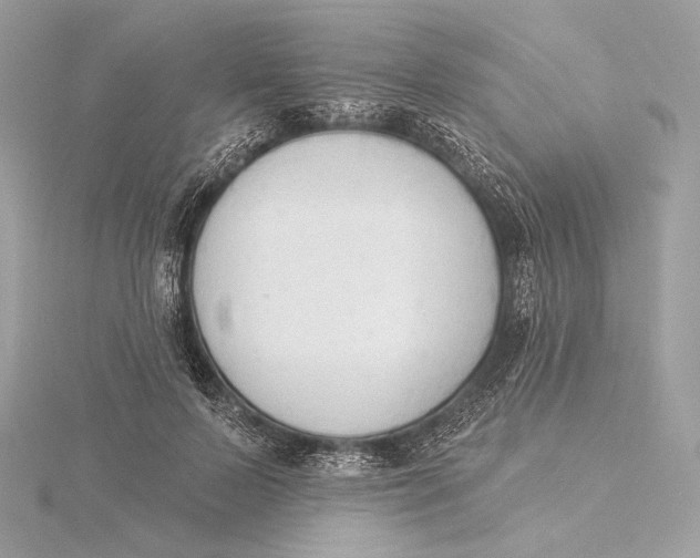 X0000115850695200912041729