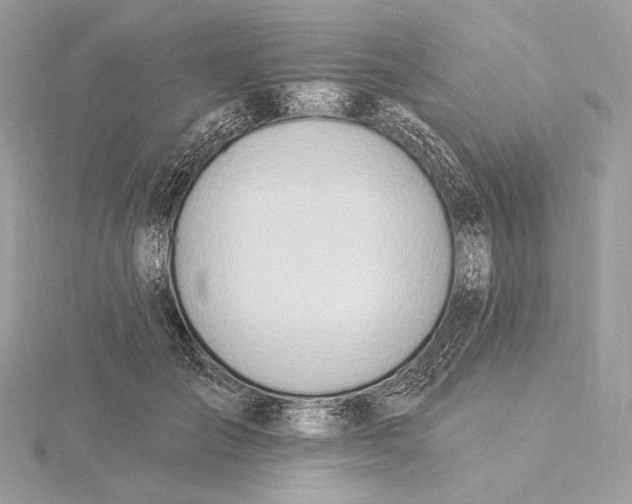 X0000115850701200912041729