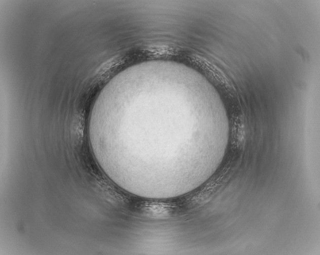 X0000115850710200912041729