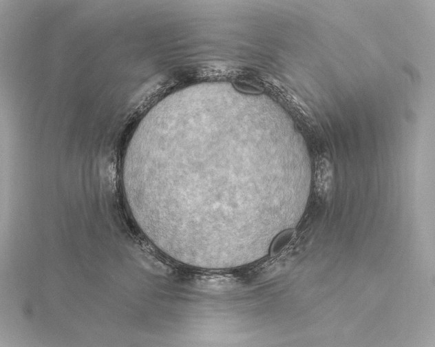 X0000115850716200912041729