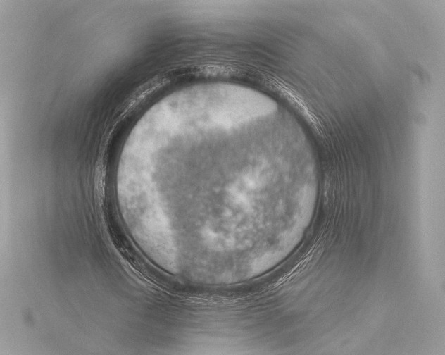 X0000115850722200912041728
