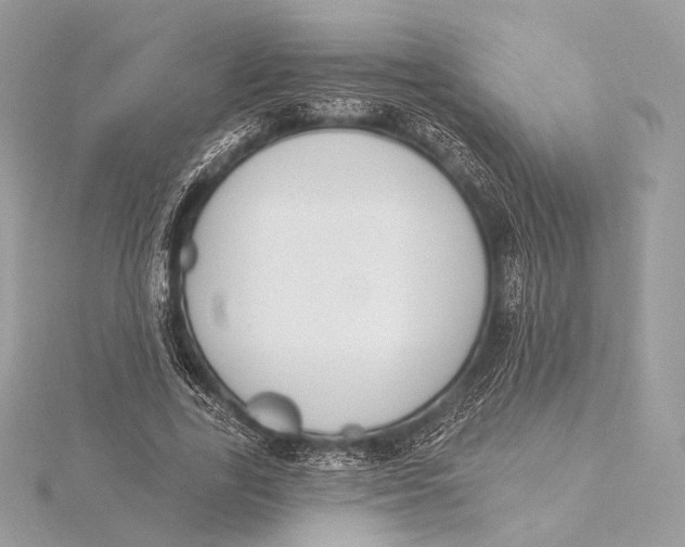 X0000115850731200912041728