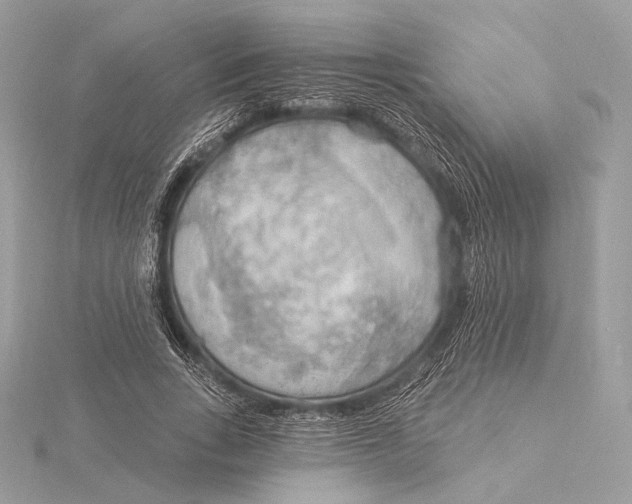 X0000115850735200912041728