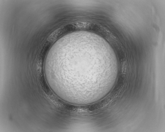 X0000115850737200912041728