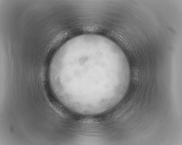 X0000115850738200912041728