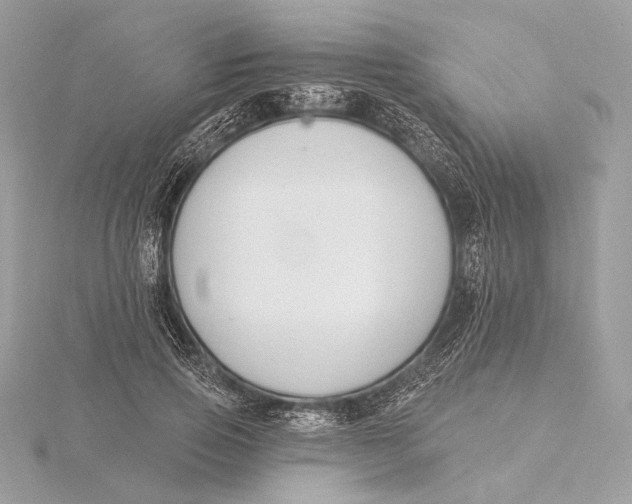 X0000115850741200912041728