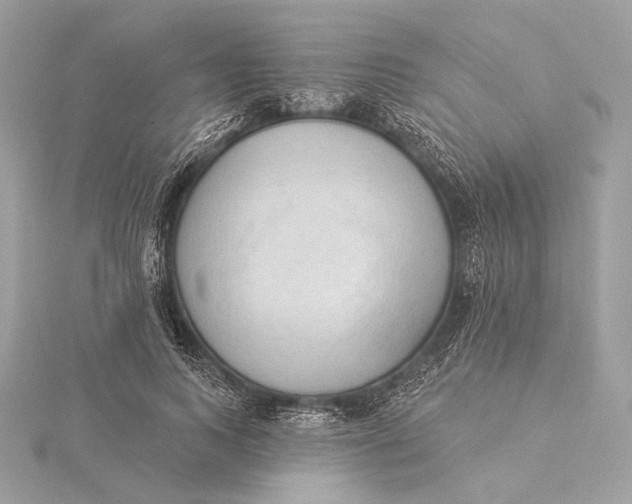 X0000115850743200912041729