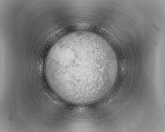 X0000115850745200912041729