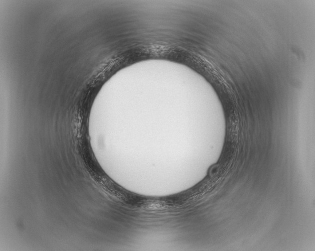 X0000115850750200912041729