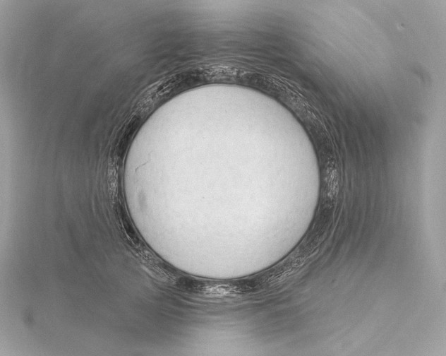 X0000115850753200912041729