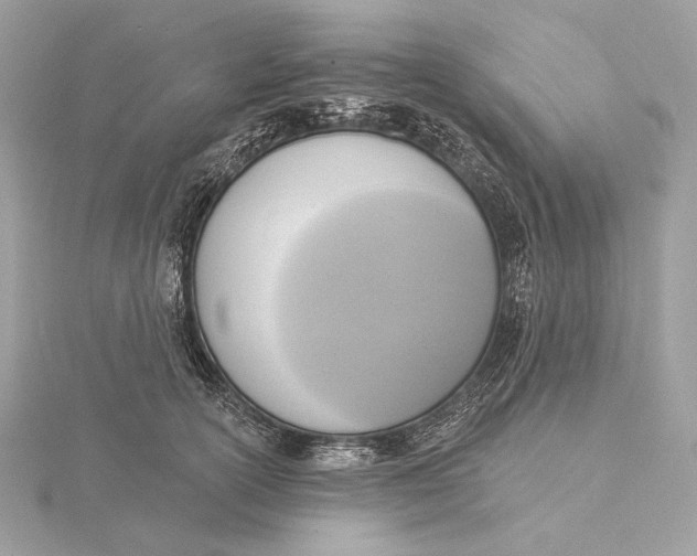 X0000115850754200912041729