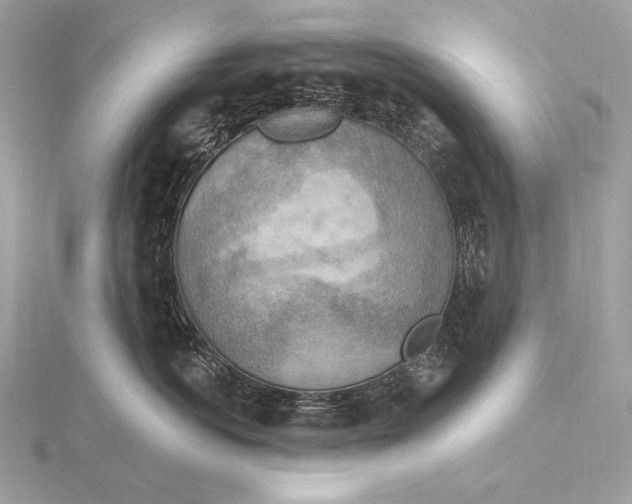 X0000115850766200912041729