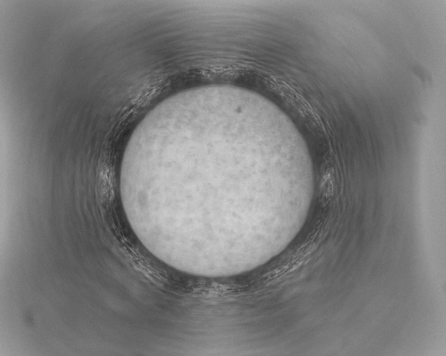 X0000115850772200912041728