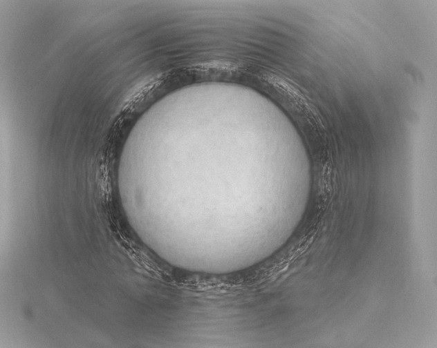 X0000115850774200912041728