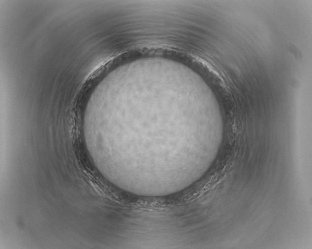 X0000115850775200912041728
