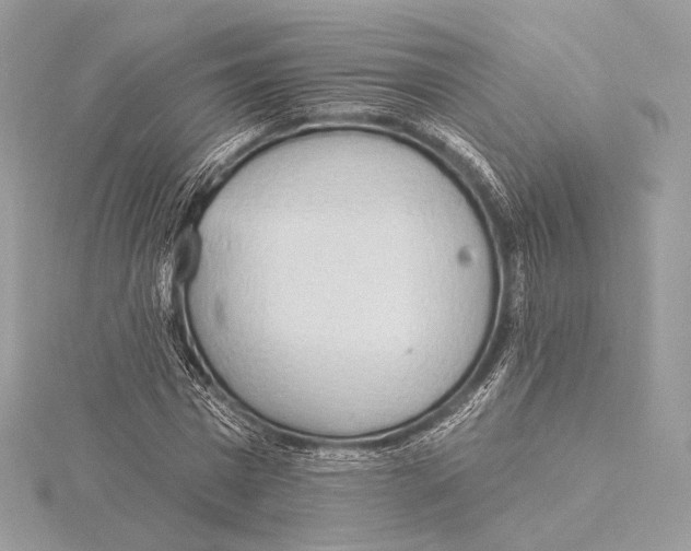 X0000115850777200912041728