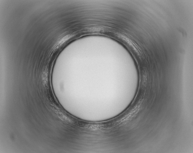 X0000115850778200912041728