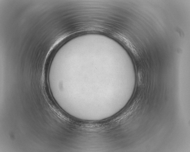 X0000115850780200912041728