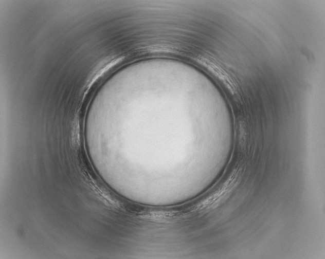 X0000115850782200912041728