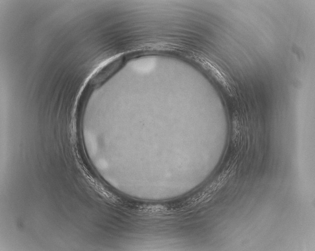 X0000115850784200912041728