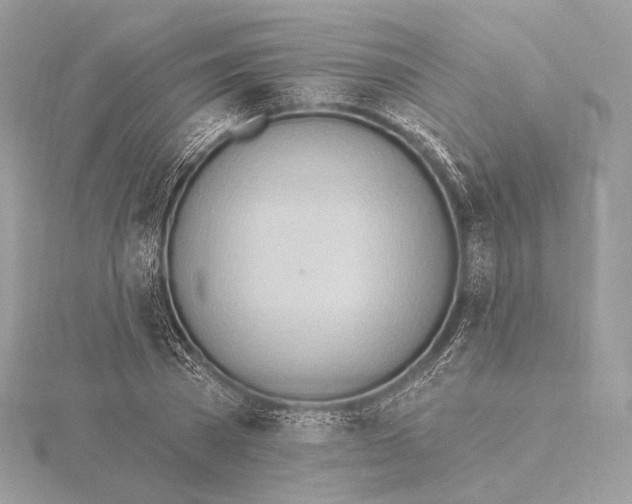 X0000115850785200912041728