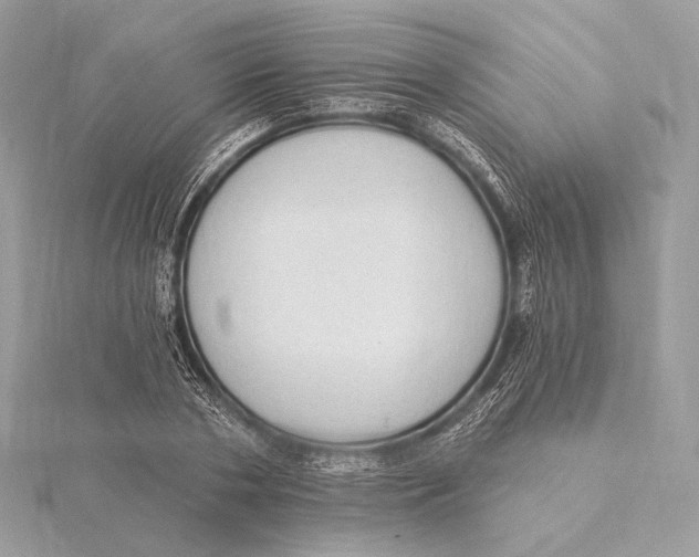 X0000115850786200912041728