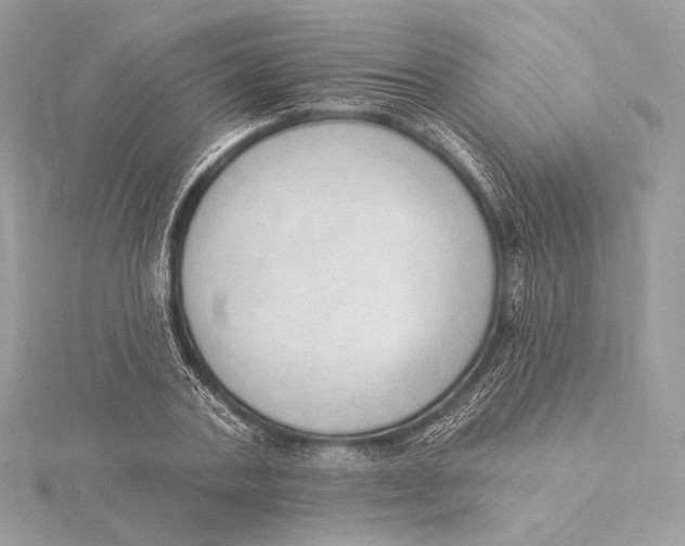 X0000115850787200912041728