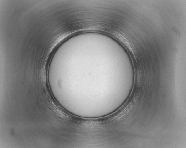 X0000115850789200912041728