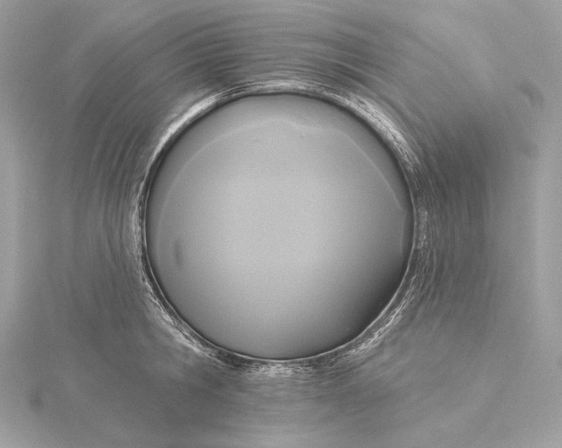 X0000115850806200912041728