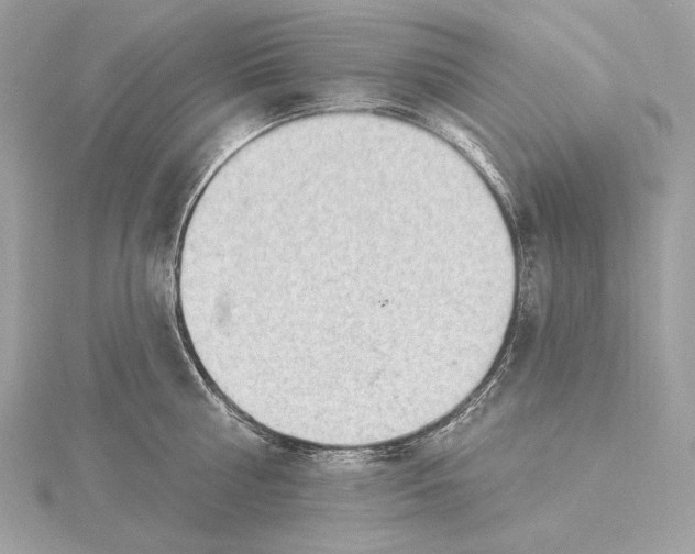 X0000115850810200912041728