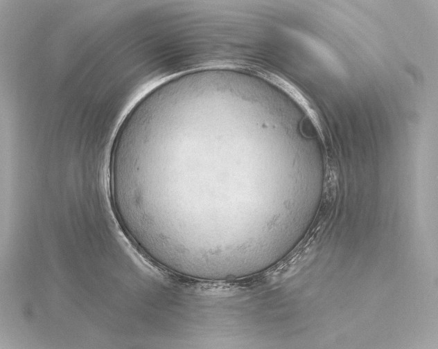 X0000115850811200912041728