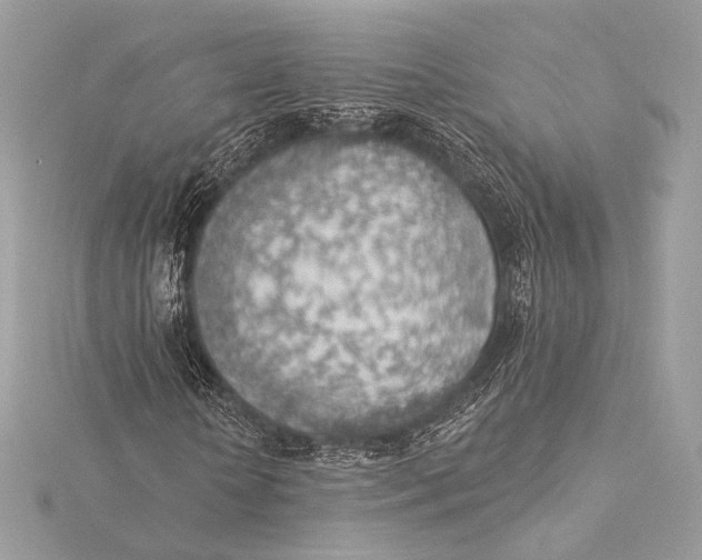 X0000115850818200912041727