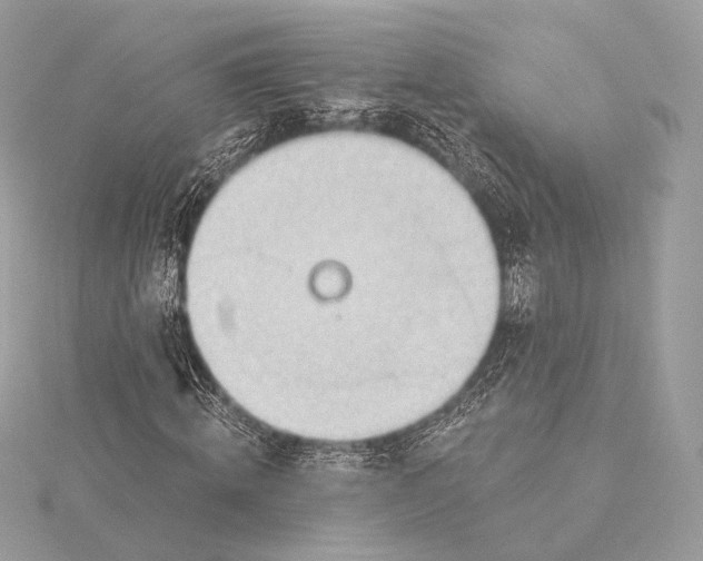 X0000115850820200912041727