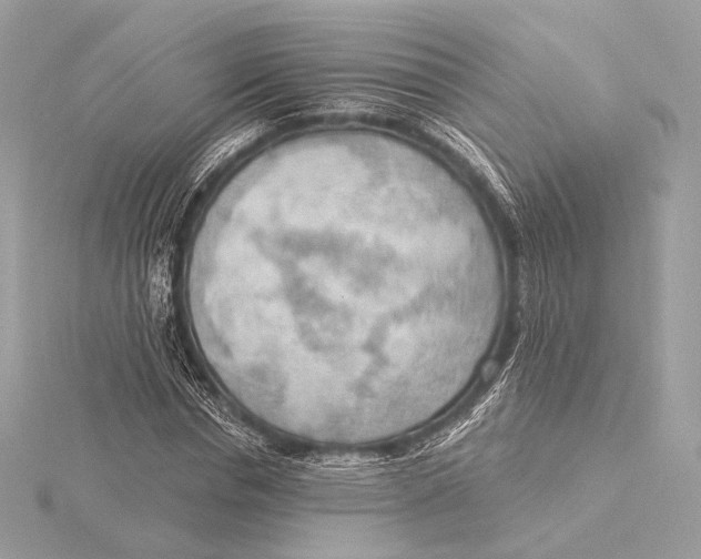 X0000115850826200912041727