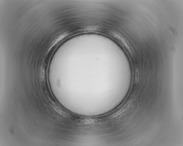 X0000115850827200912041727