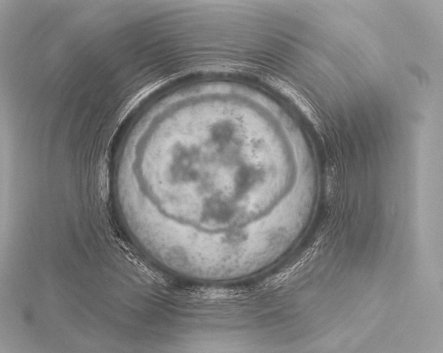 X0000115850829200912041727