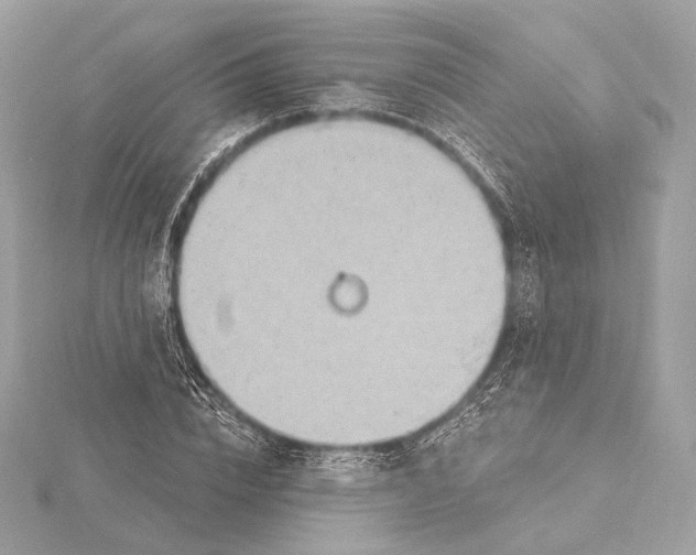 X0000115850832200912041727