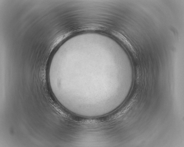 X0000115850834200912041727