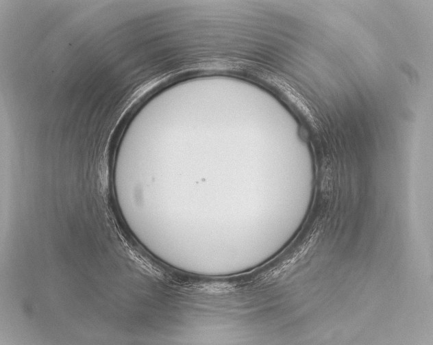 X0000115850837200912041727