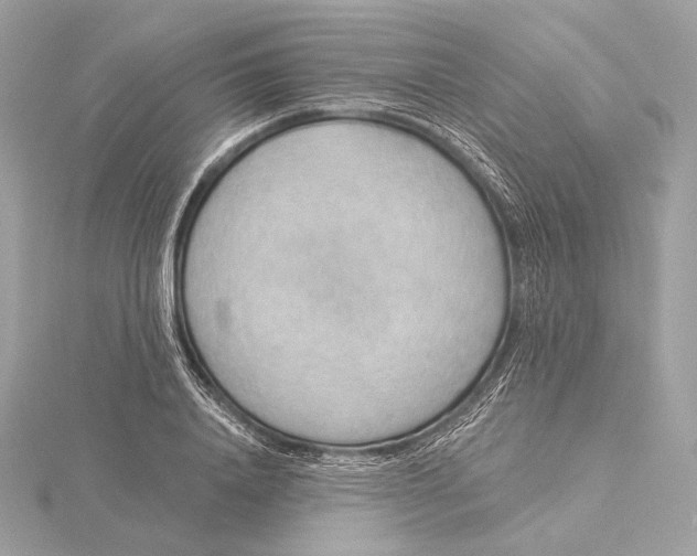 X0000115850840200912041727